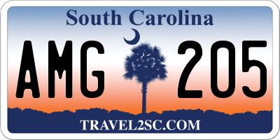SC license plate AMG205