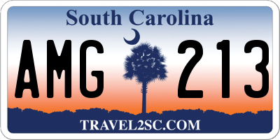 SC license plate AMG213