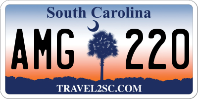 SC license plate AMG220