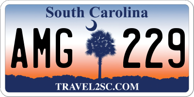 SC license plate AMG229