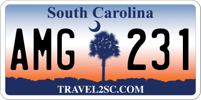 SC license plate AMG231