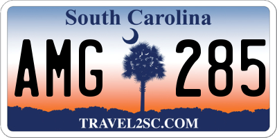 SC license plate AMG285