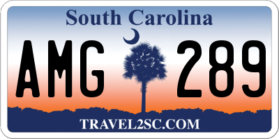 SC license plate AMG289
