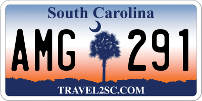 SC license plate AMG291