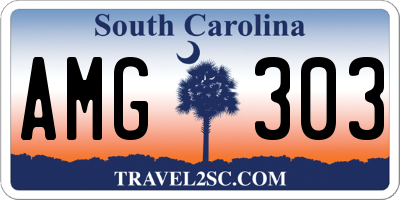 SC license plate AMG303