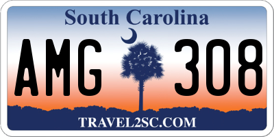 SC license plate AMG308