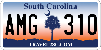 SC license plate AMG310