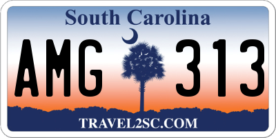 SC license plate AMG313