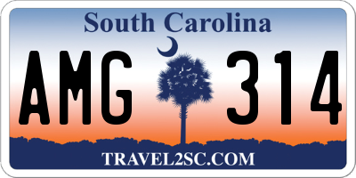 SC license plate AMG314