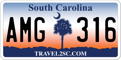 SC license plate AMG316