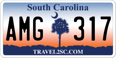 SC license plate AMG317