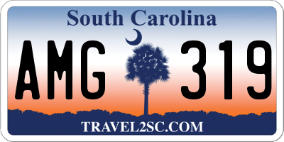 SC license plate AMG319