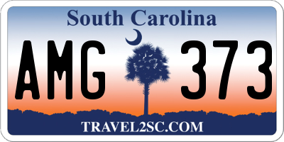 SC license plate AMG373