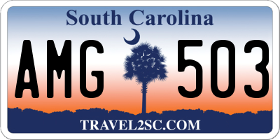 SC license plate AMG503