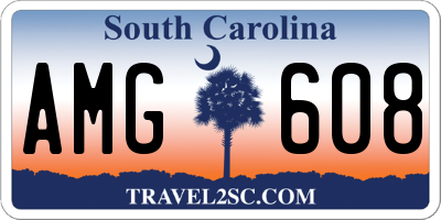 SC license plate AMG608