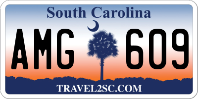 SC license plate AMG609