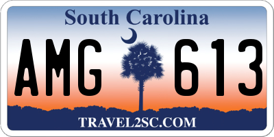 SC license plate AMG613