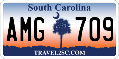 SC license plate AMG709