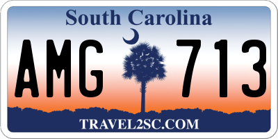 SC license plate AMG713
