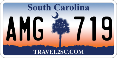 SC license plate AMG719