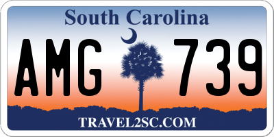 SC license plate AMG739
