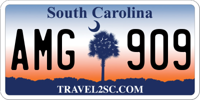 SC license plate AMG909