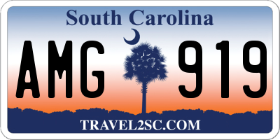 SC license plate AMG919