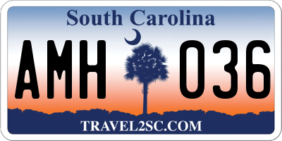 SC license plate AMH036