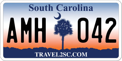 SC license plate AMH042
