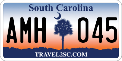 SC license plate AMH045