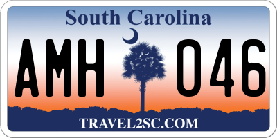 SC license plate AMH046