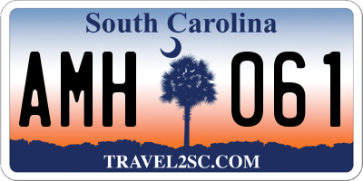 SC license plate AMH061