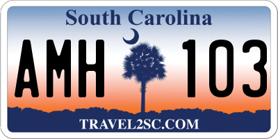 SC license plate AMH103
