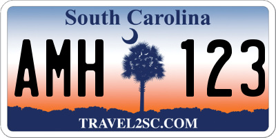 SC license plate AMH123