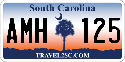 SC license plate AMH125