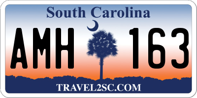 SC license plate AMH163
