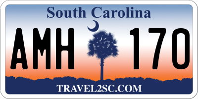 SC license plate AMH170