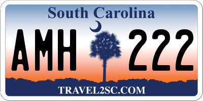 SC license plate AMH222