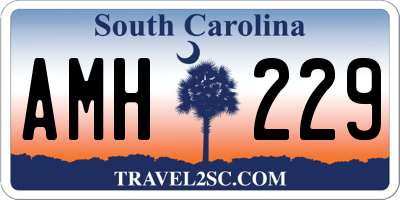 SC license plate AMH229