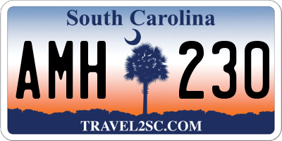 SC license plate AMH230