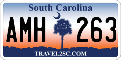 SC license plate AMH263