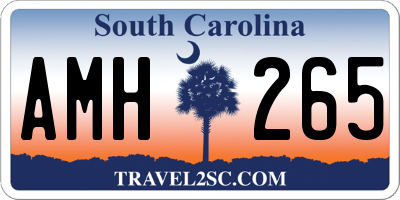 SC license plate AMH265