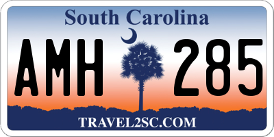 SC license plate AMH285
