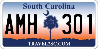 SC license plate AMH301