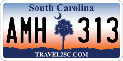 SC license plate AMH313