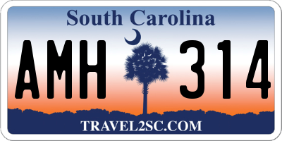 SC license plate AMH314