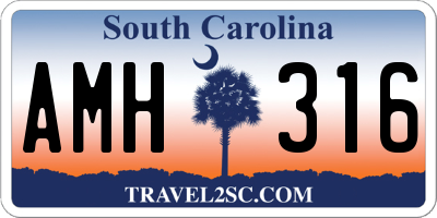 SC license plate AMH316