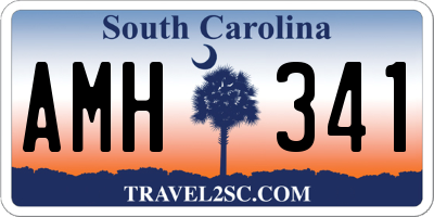 SC license plate AMH341