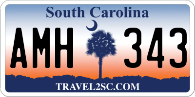 SC license plate AMH343