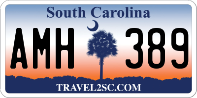 SC license plate AMH389